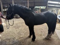 Customer Success Gallery - 